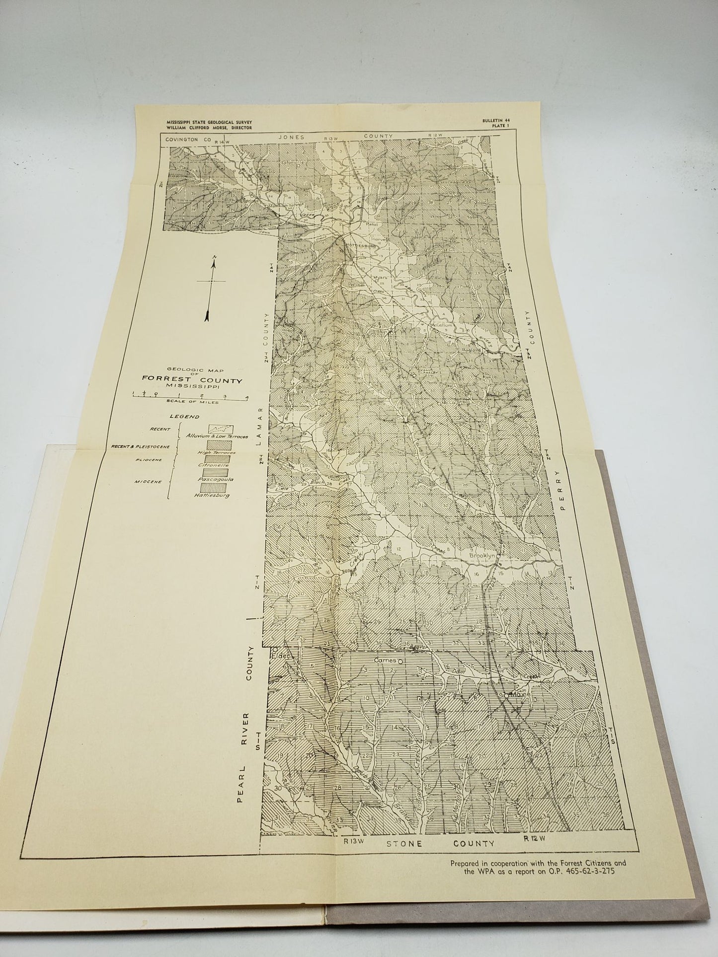 Forrest County Mineral Resources (Mississippi Geological Bulletin 44)