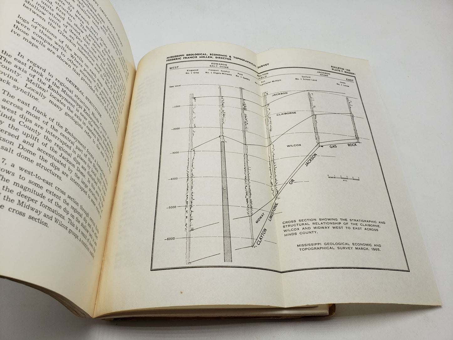 Hinds County Geology and Mineral Resources (Mississippi Geological Bulletin 105)