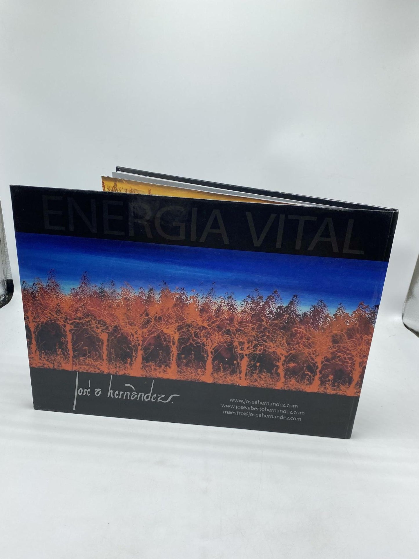 Energia Vital