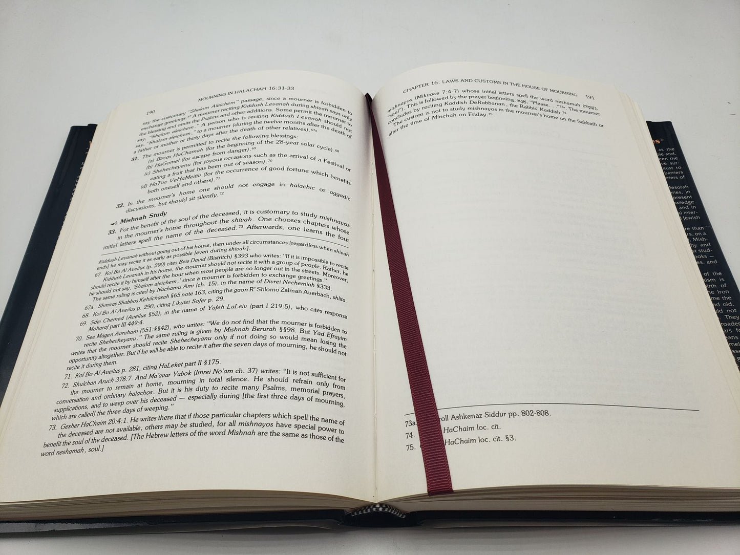 Mourning in Halachah: The Laws and Customs of the Year of Mourning.