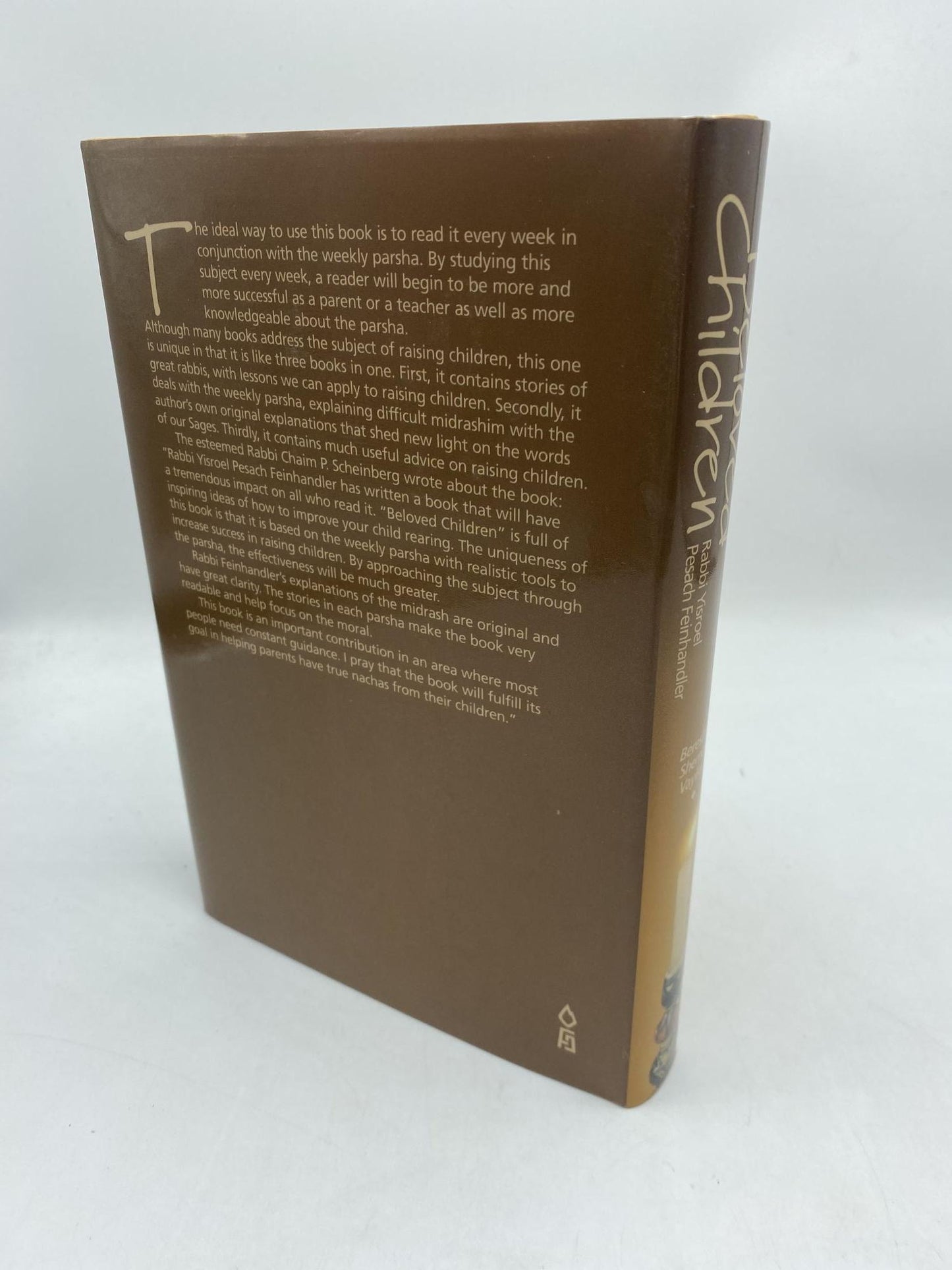 Beloved Children Insights on Raising Children From the Weekly Parsha (2 Volumes)