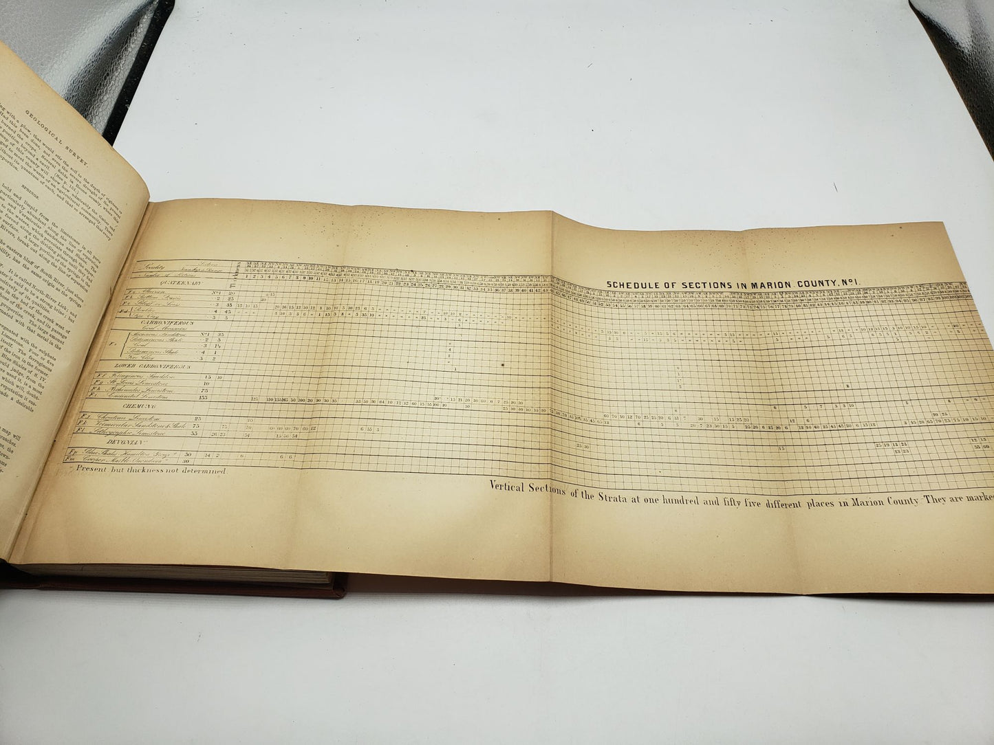 The First and Second Annual Report of the Geological Survey of Missouri