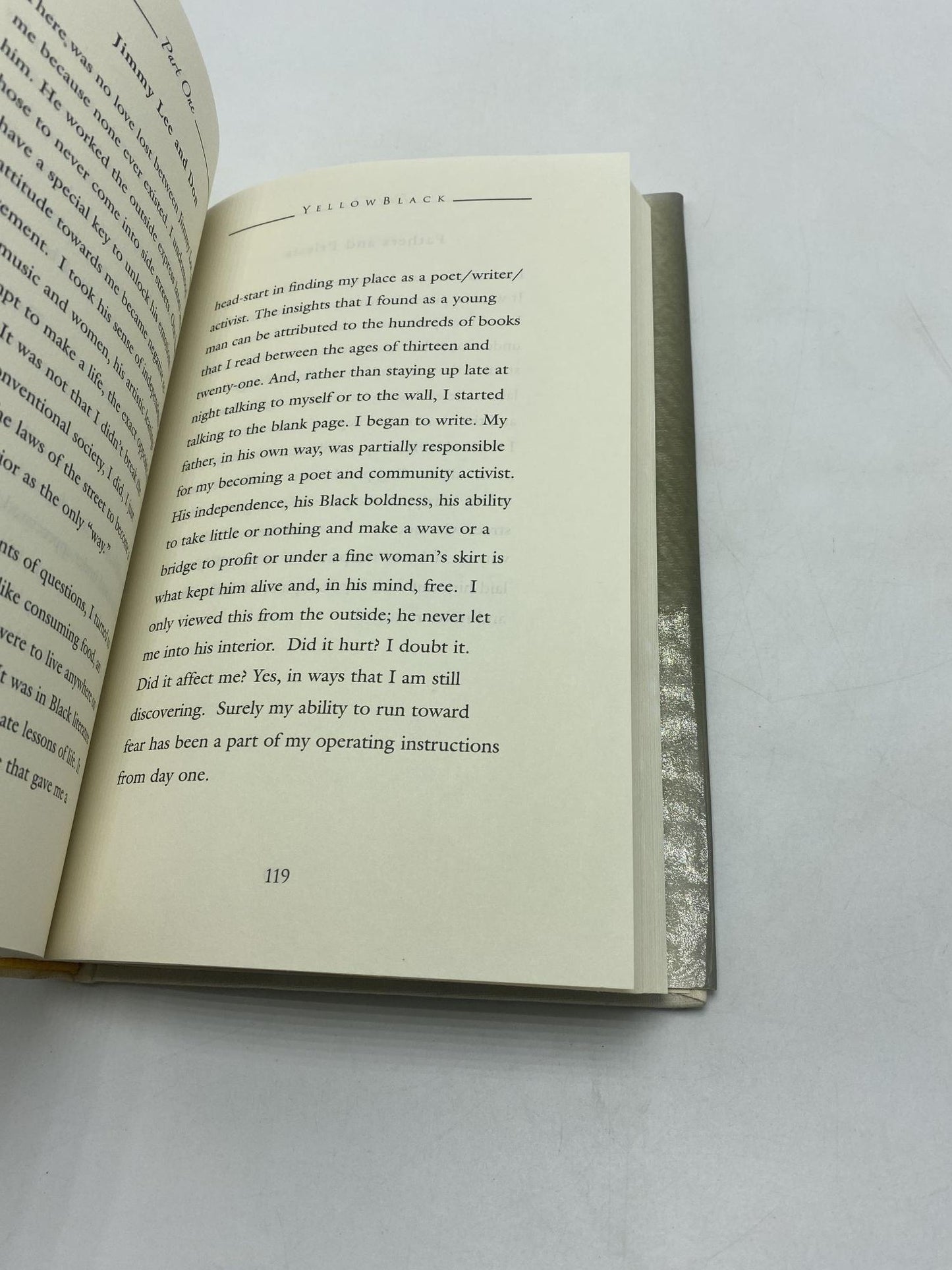 Yellow Black : The First Twenty-One Years of a Poets's Life