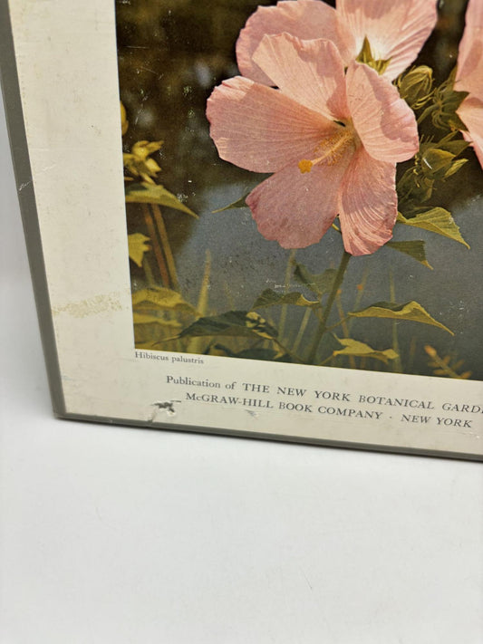 Wild Flowers Of The United States: The Northeastern States: From The Atlantic To Minnesota And Missouri And From The Canadian Border To Virginia And Missouri. Volume 1. Parts 1 & 2. (2 Volumes)