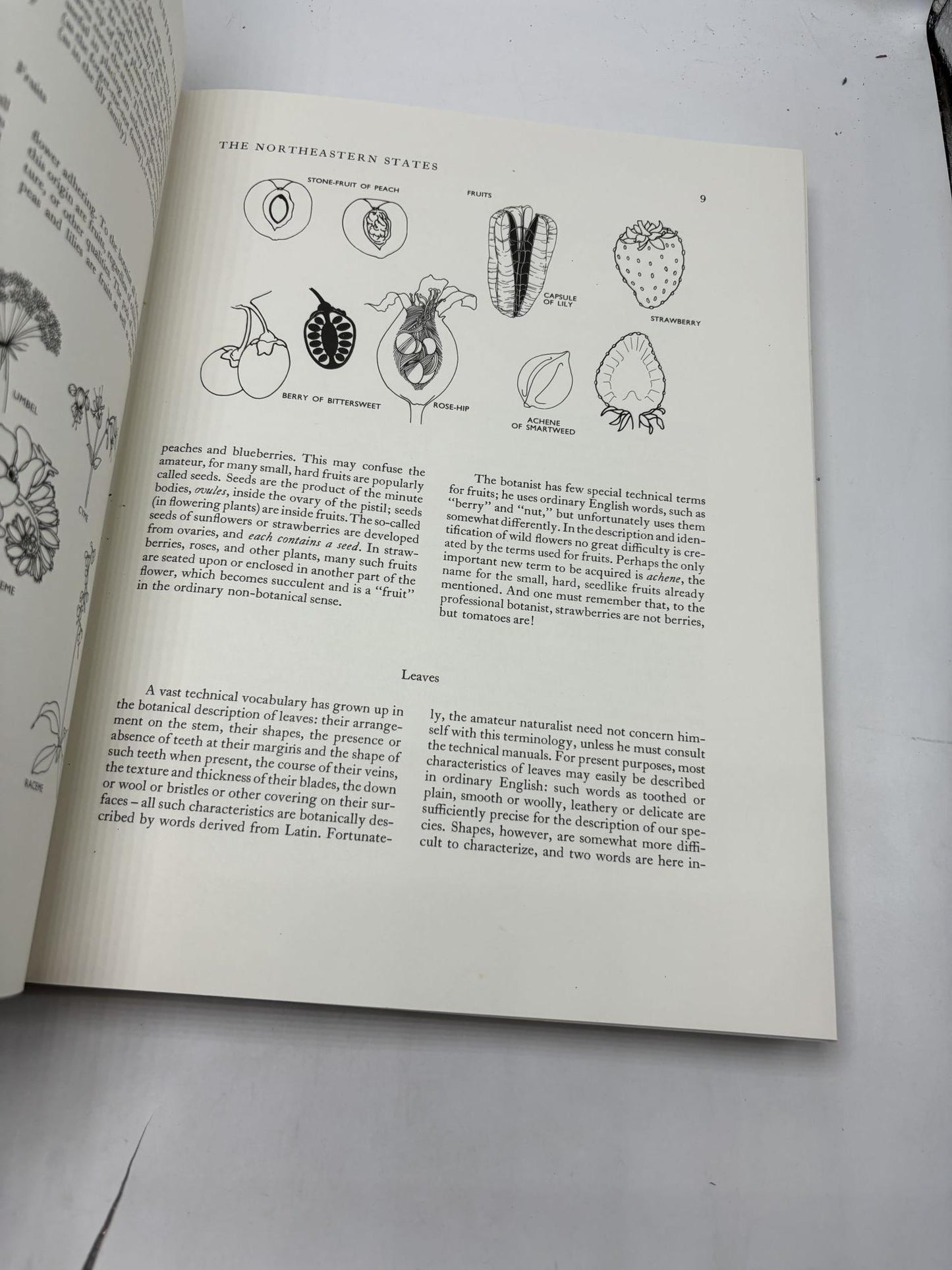 Wild Flowers Of The United States: The Northeastern States: From The Atlantic To Minnesota And Missouri And From The Canadian Border To Virginia And Missouri. Volume 1. Parts 1 & 2. (2 Volumes)
