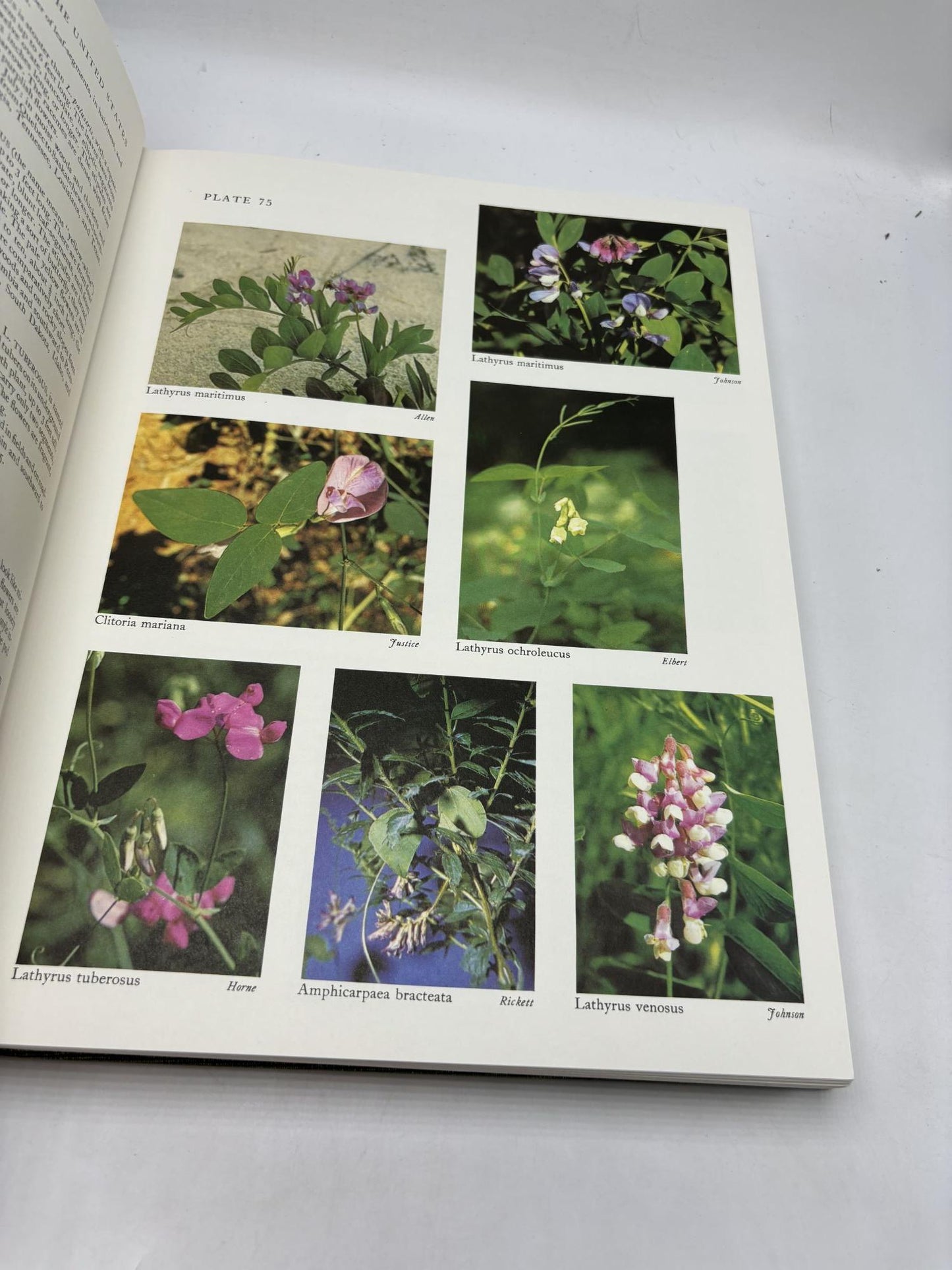 Wild Flowers Of The United States: The Northeastern States: From The Atlantic To Minnesota And Missouri And From The Canadian Border To Virginia And Missouri. Volume 1. Parts 1 & 2. (2 Volumes)