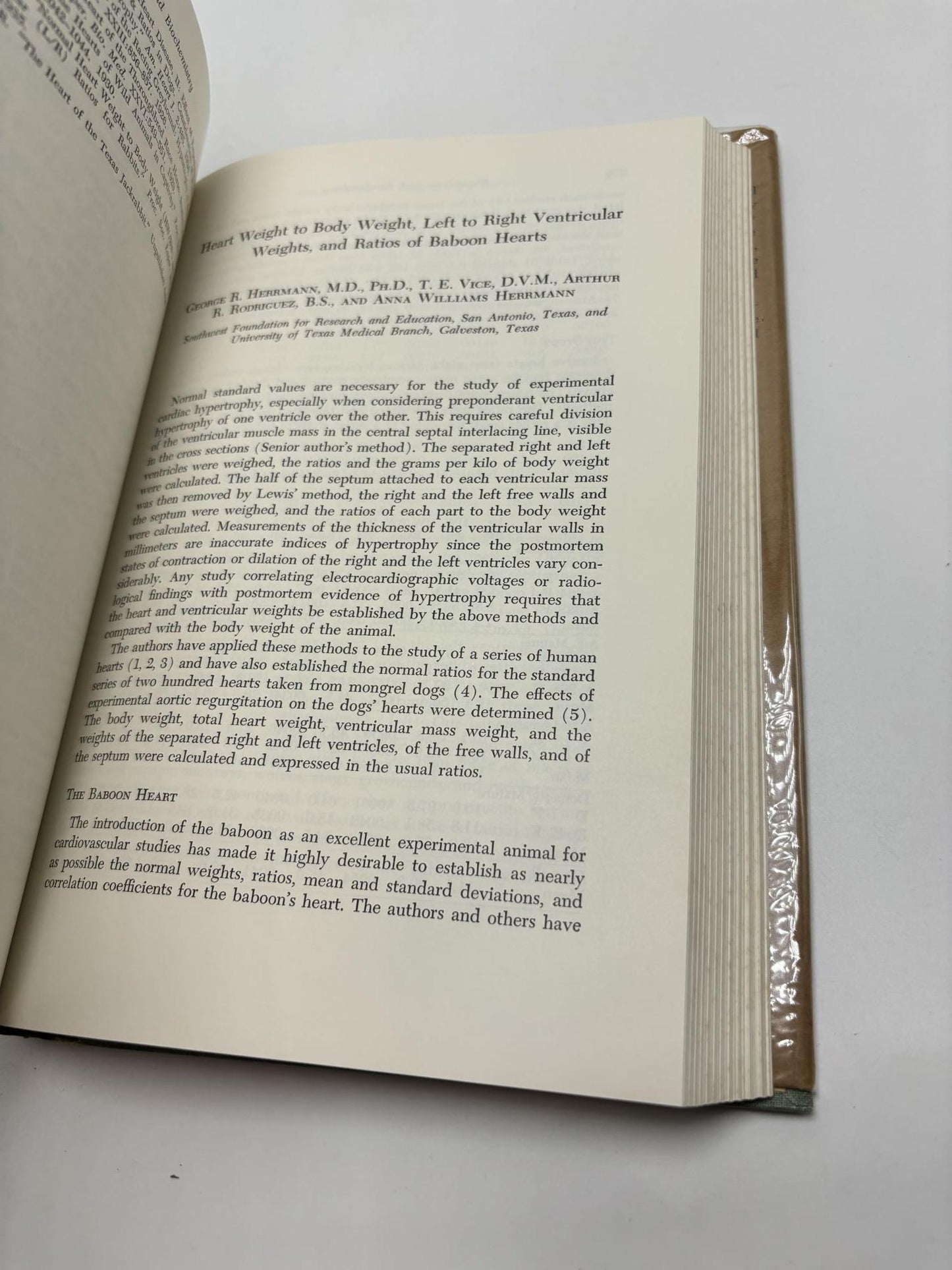 Proceedings Of The First International Symposium On The Baboon And Its Use As An Experimental Animal