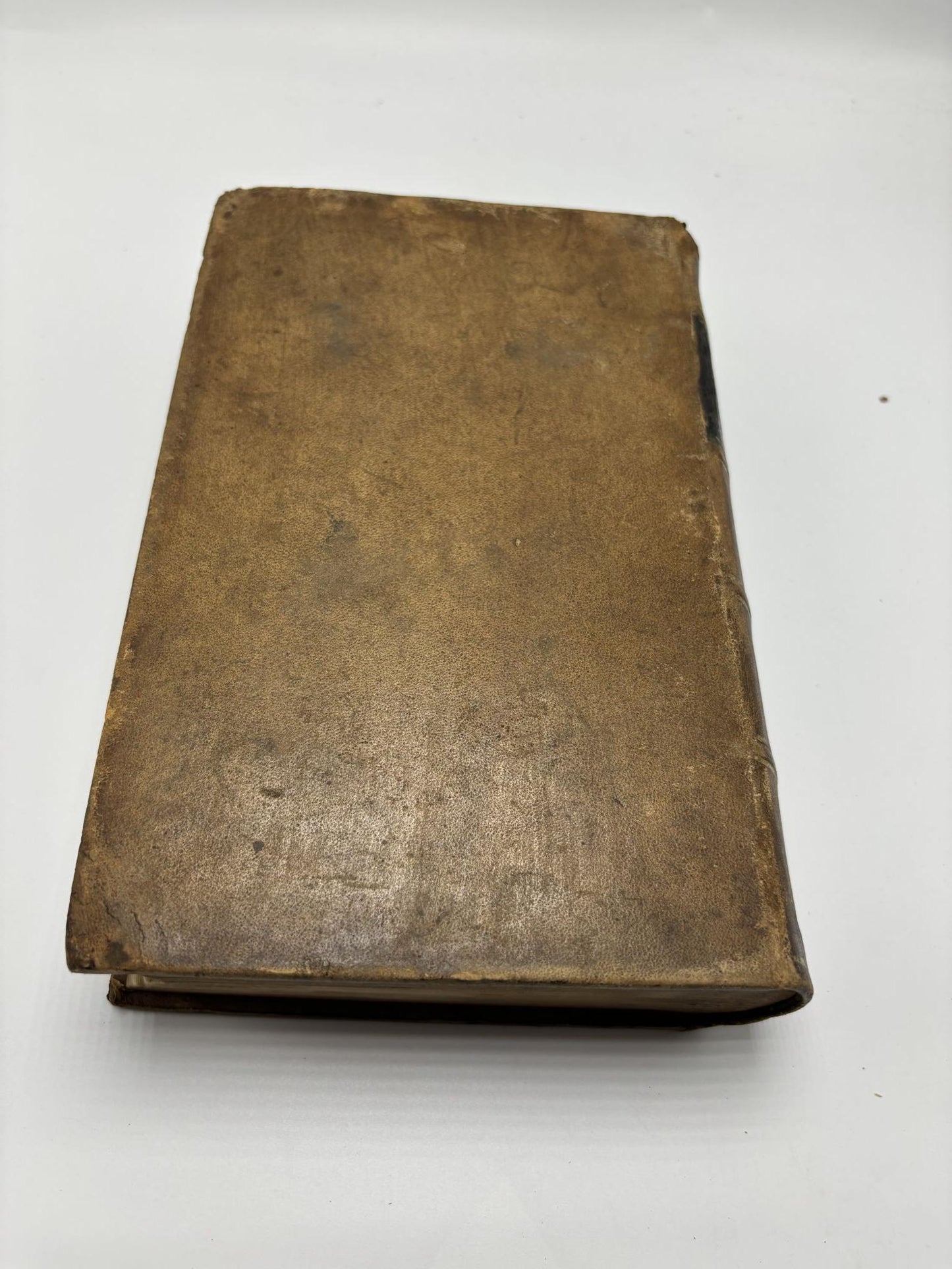 A Practical Treatise On The Diseases, Injuries, And Malformations Of The Urinary Bladder, The Prostate Gland, And The Urethra
