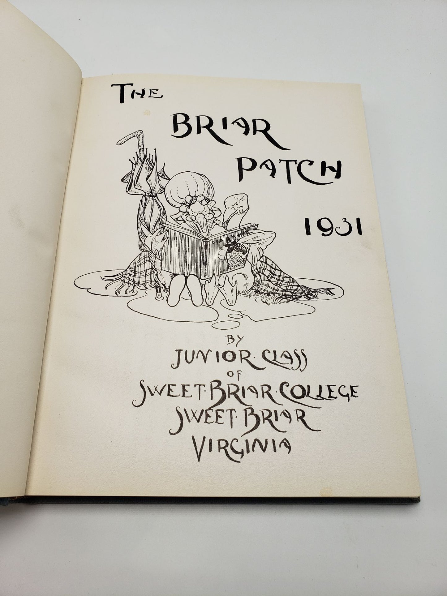 The Briar Patch: Annual Yearbook 1931