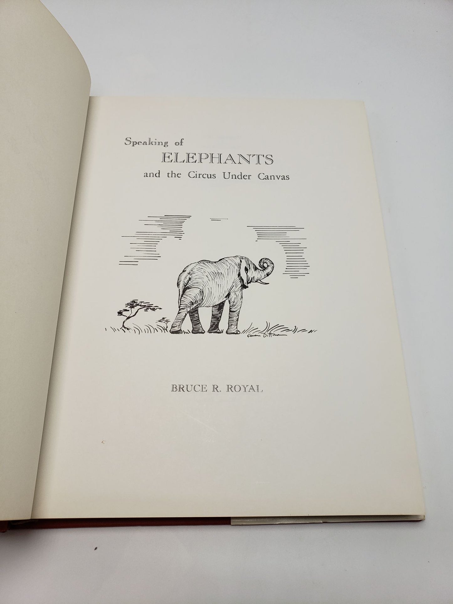 Speaking of Elephants and The Circus Under Canvas