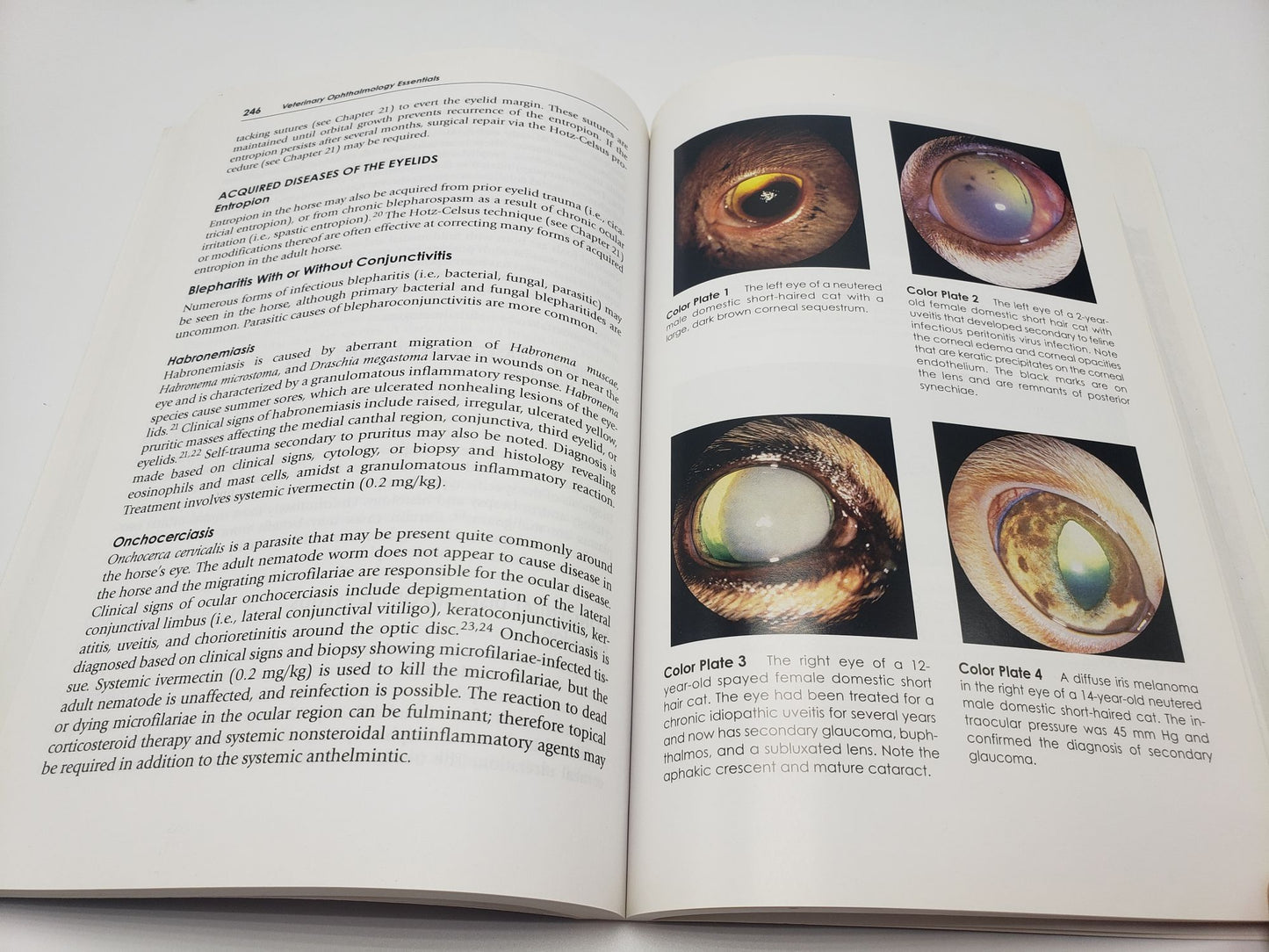 Veterinary Ophthalmology Essentials