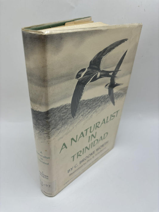 A Naturalist In Trinidad