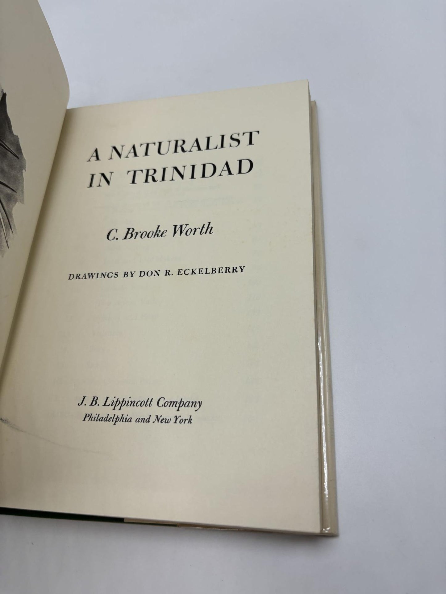 A Naturalist In Trinidad
