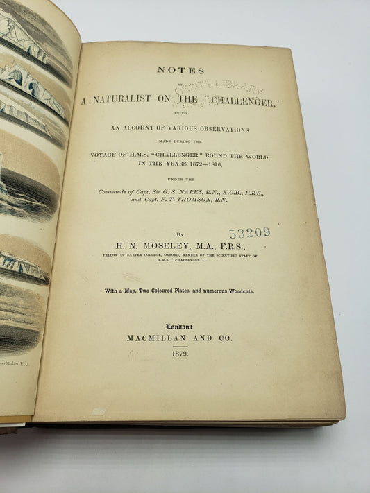 Notes By A Naturalist On The "Challenger"
