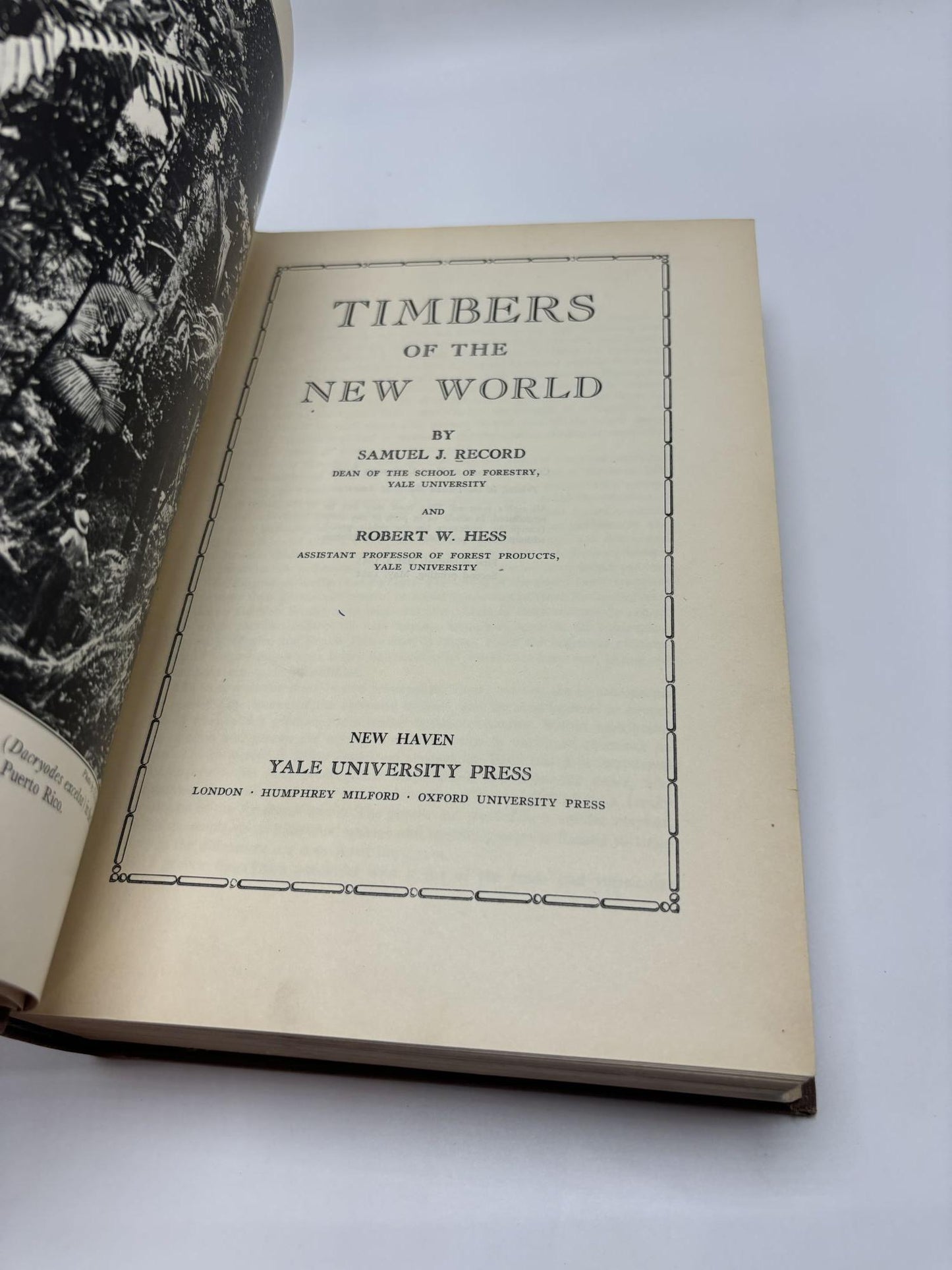 Timbers Of The New World