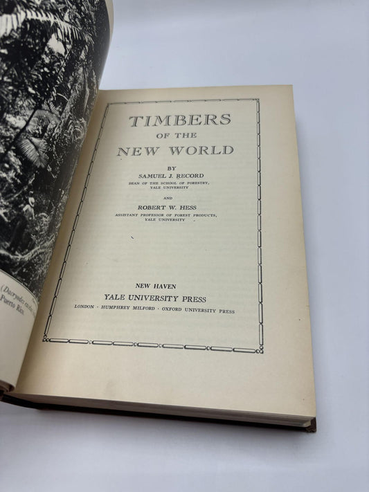 Timbers Of The New World