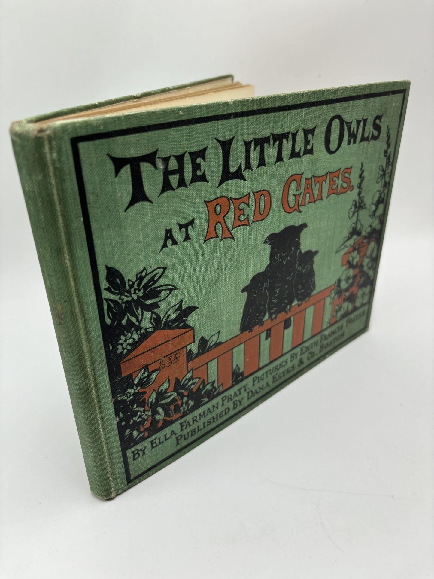 The Little Owls At Red Gate