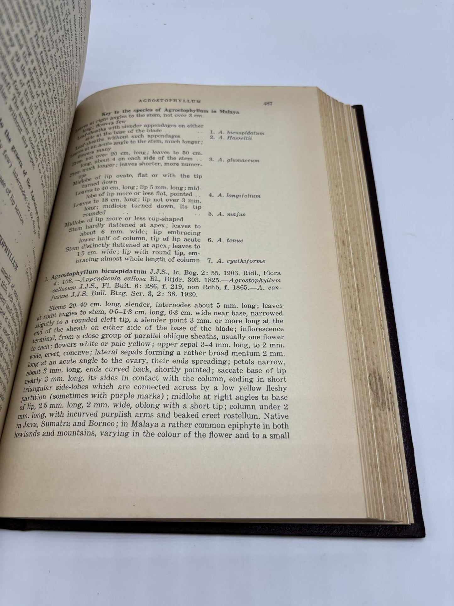 A Revised Flora of Mayala: An Illustrated Systematic Account Of The Malayan Flora, Including Commonly Cultivated Plants Volume I: Orchids Of Malaya