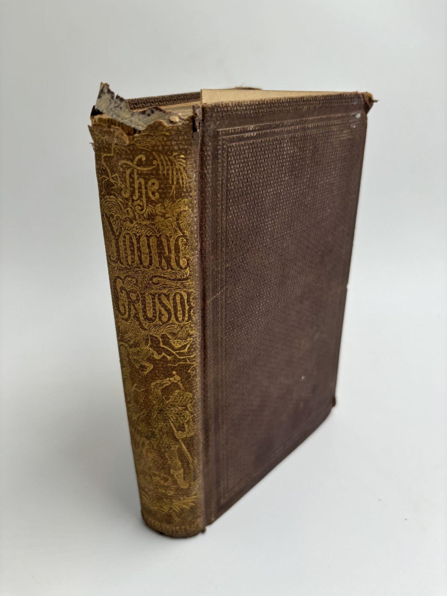 The Young Crusoe; Or, Adventures Of A Shipwrecked Boy: A Story For Boys