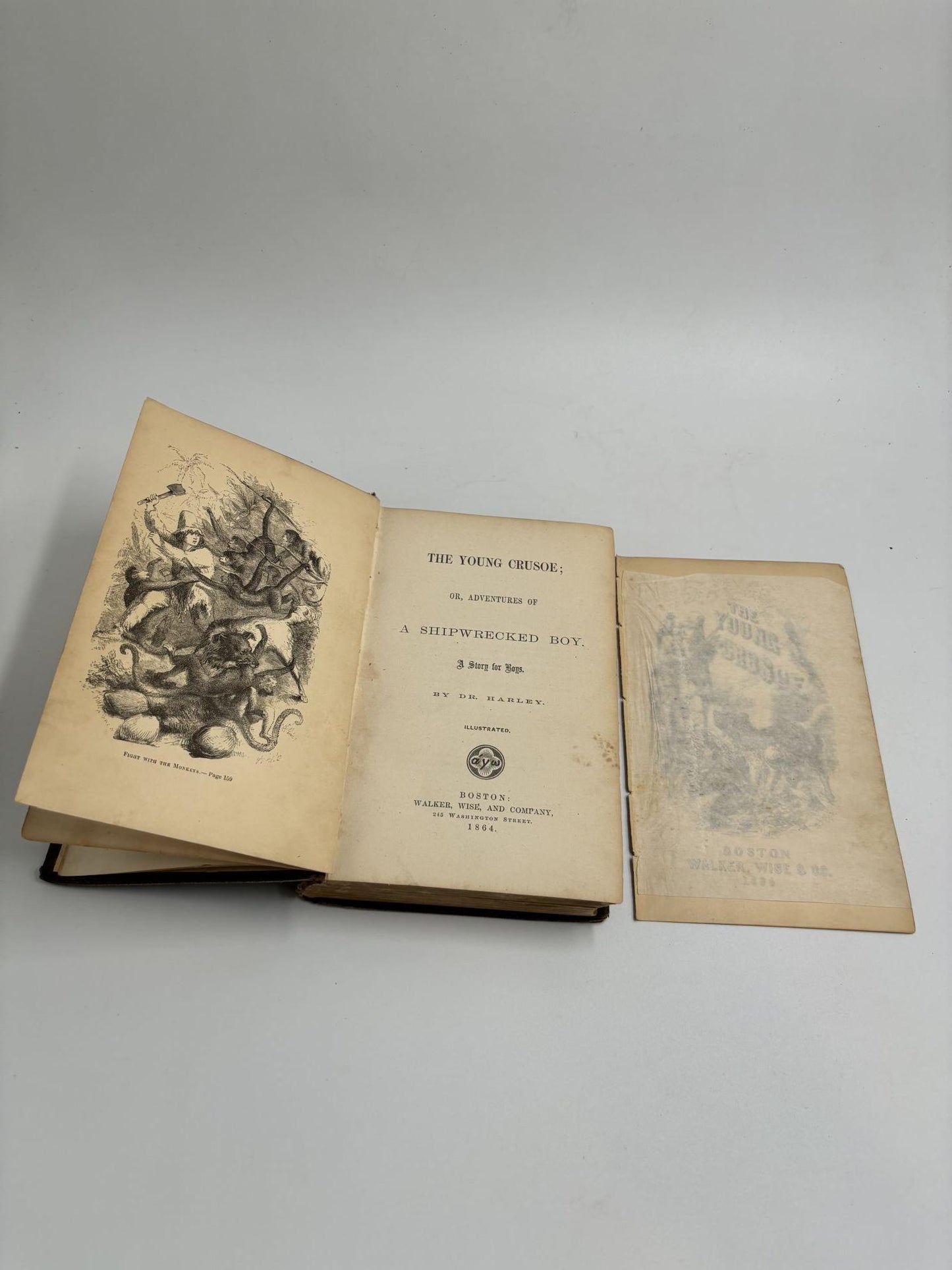 The Young Crusoe; Or, Adventures Of A Shipwrecked Boy: A Story For Boys