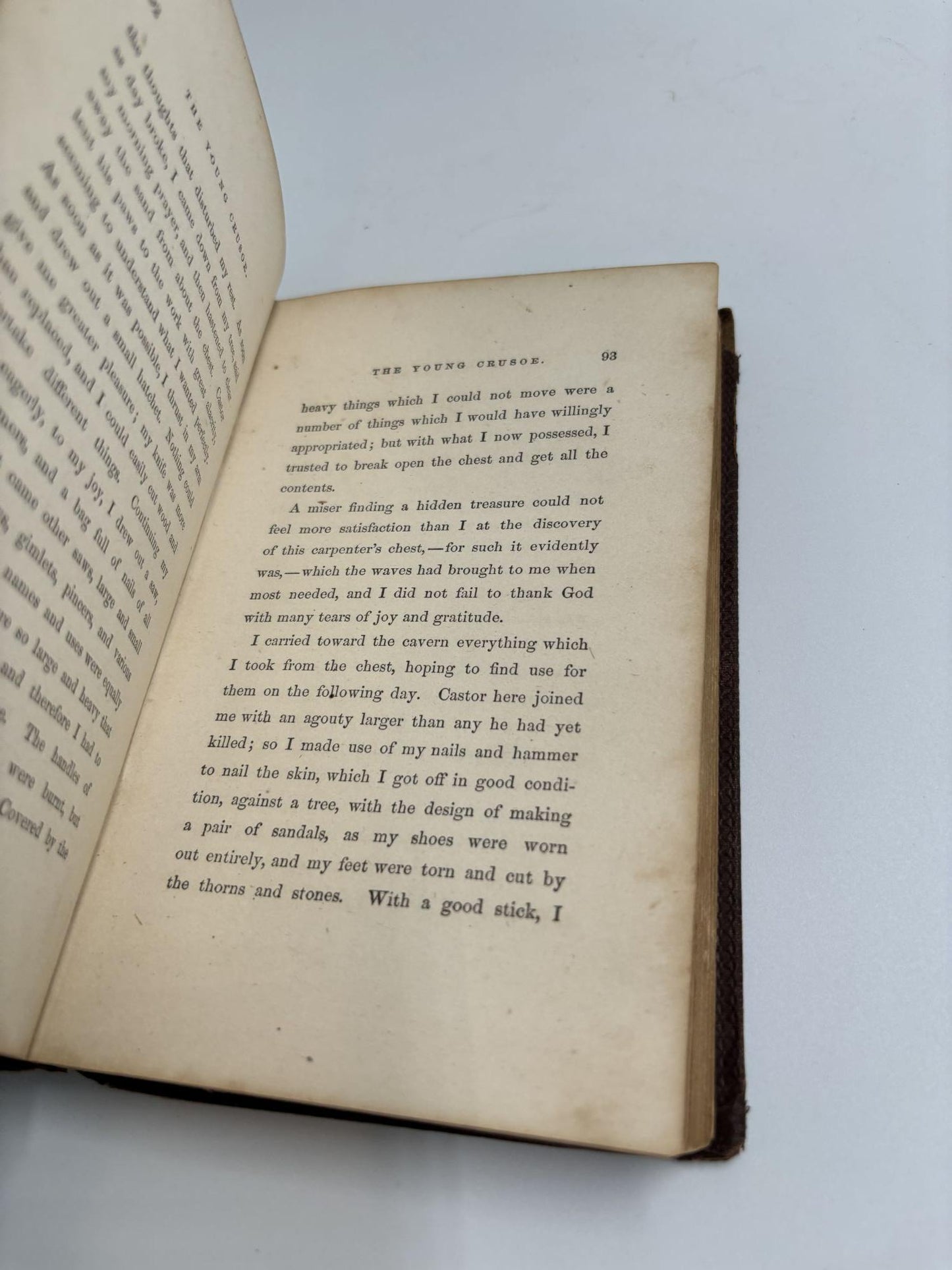 The Young Crusoe; Or, Adventures Of A Shipwrecked Boy: A Story For Boys