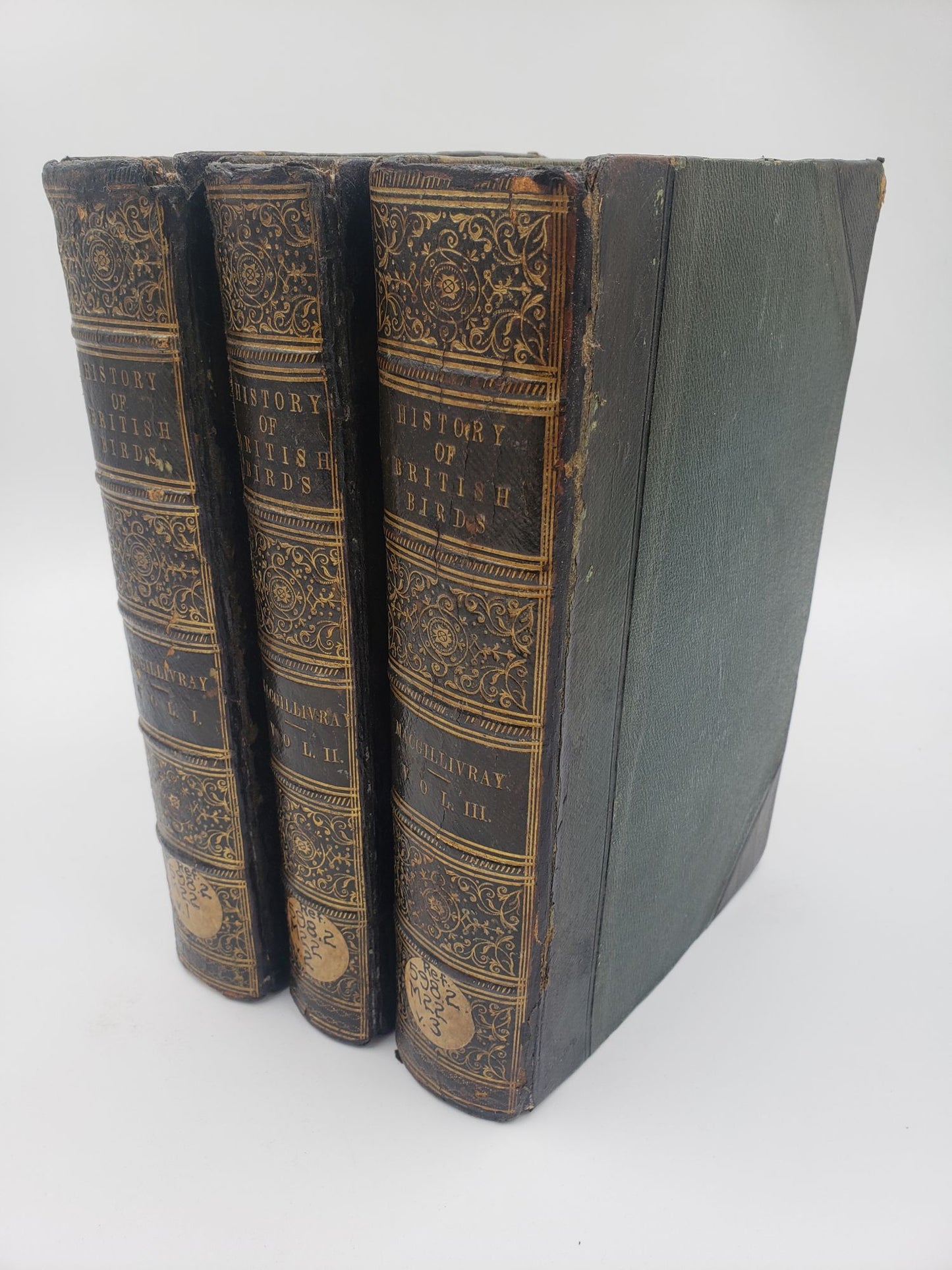 History of British Birds, Indigenous and Migratory  (3 Volumes)