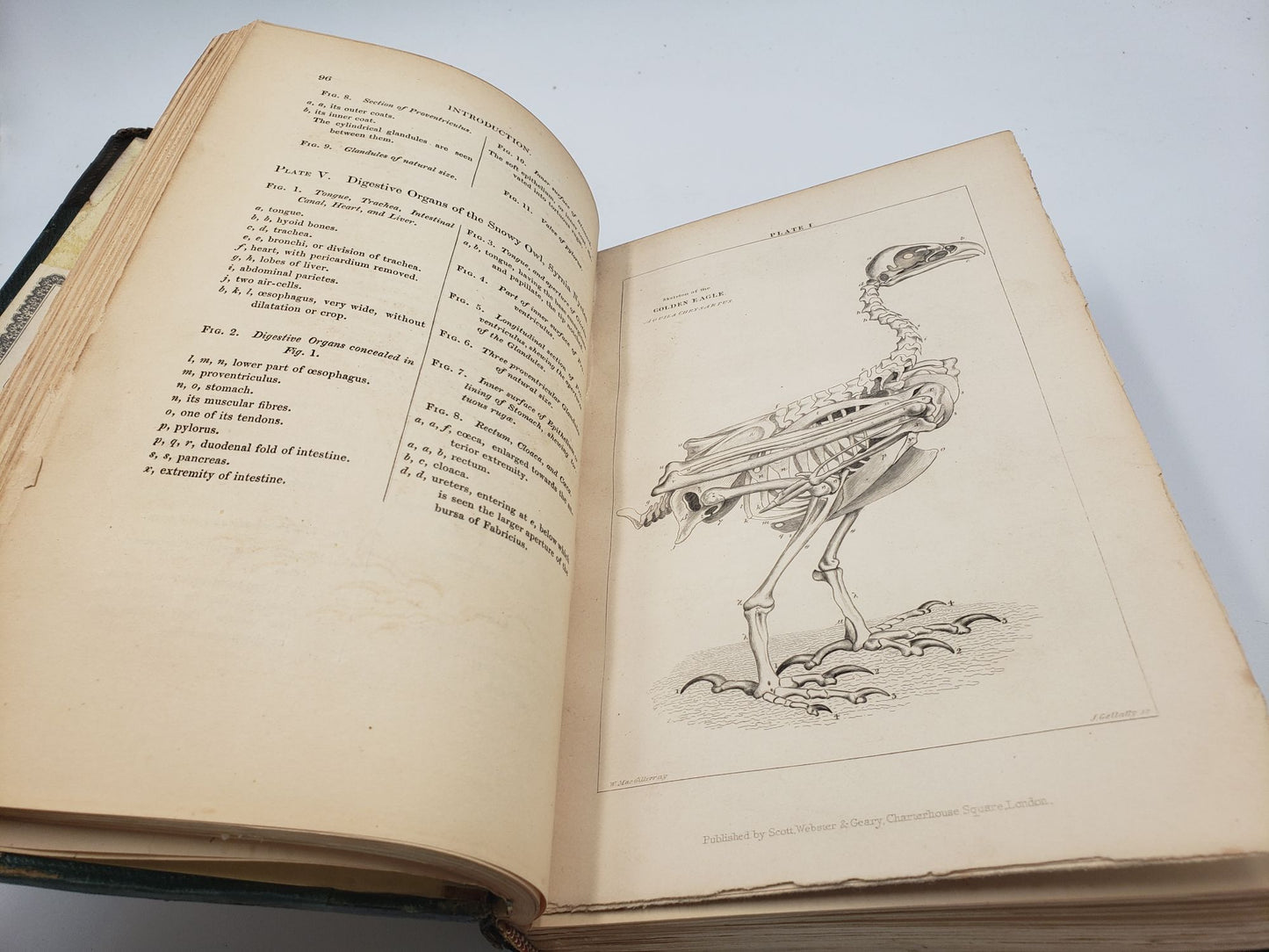 History of British Birds, Indigenous and Migratory  (3 Volumes)