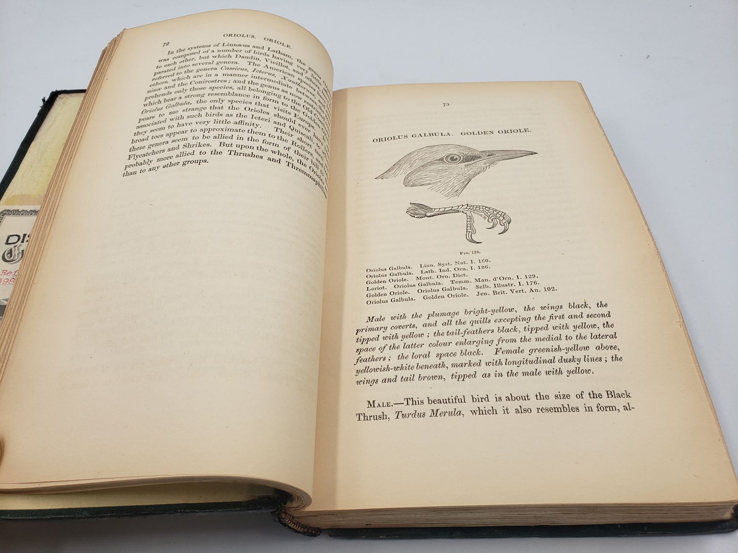 History of British Birds, Indigenous and Migratory  (3 Volumes)