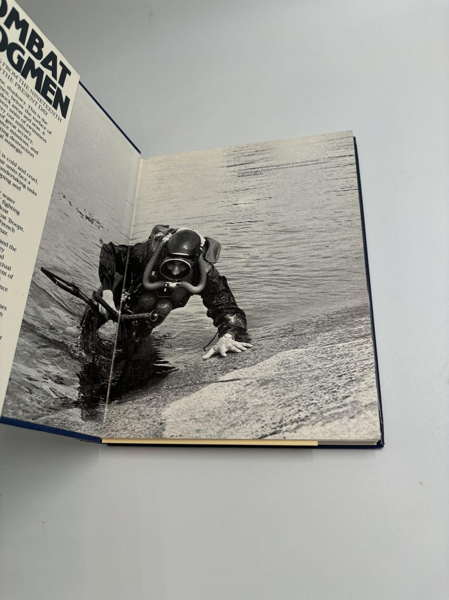 Combat Frogmen: Military Diving From The Nineteenth Century To The Present Day