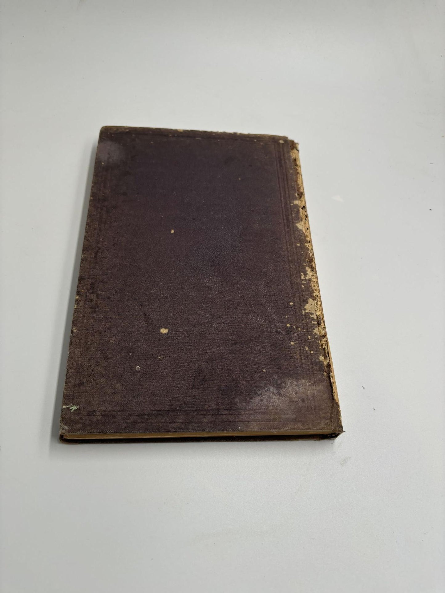 Elmwood: Charter, Rules, Regulations and by-Laws of Elmwood Cemetery Association of Memphis; History of the Cemetery, Biographical Sketches, Attractive Monuments, Names of Proprietors