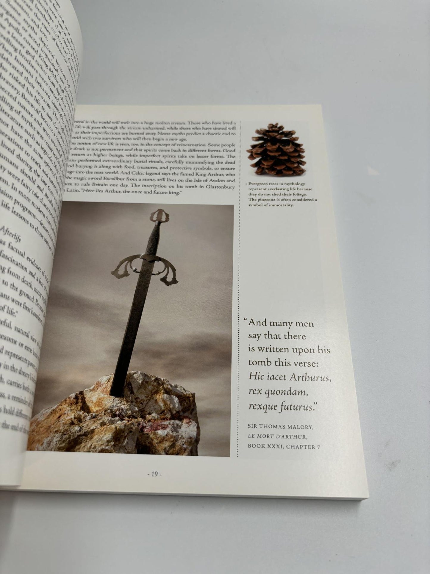Panorama : An Introduction To Classical Mythology
