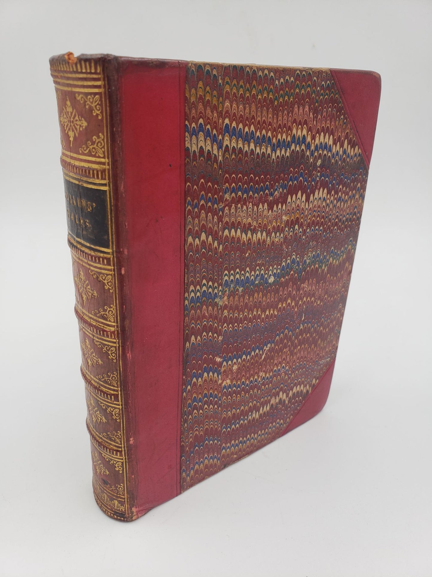 A Plot In Private Life and Other Tales