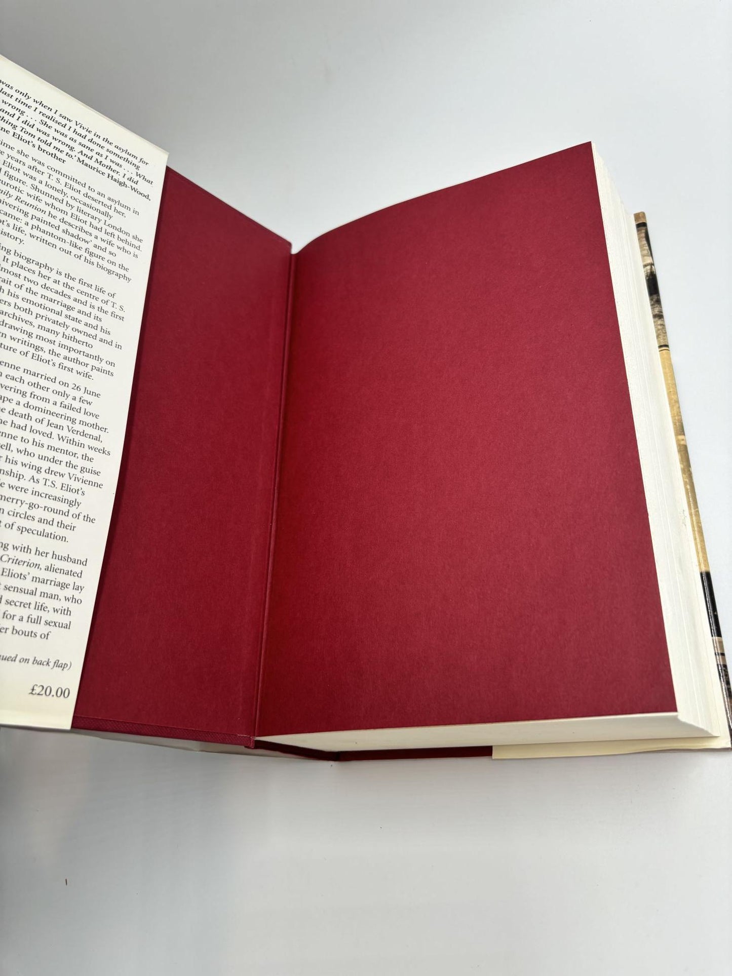 Painted Shadow: A Life of Vivienne Eliot