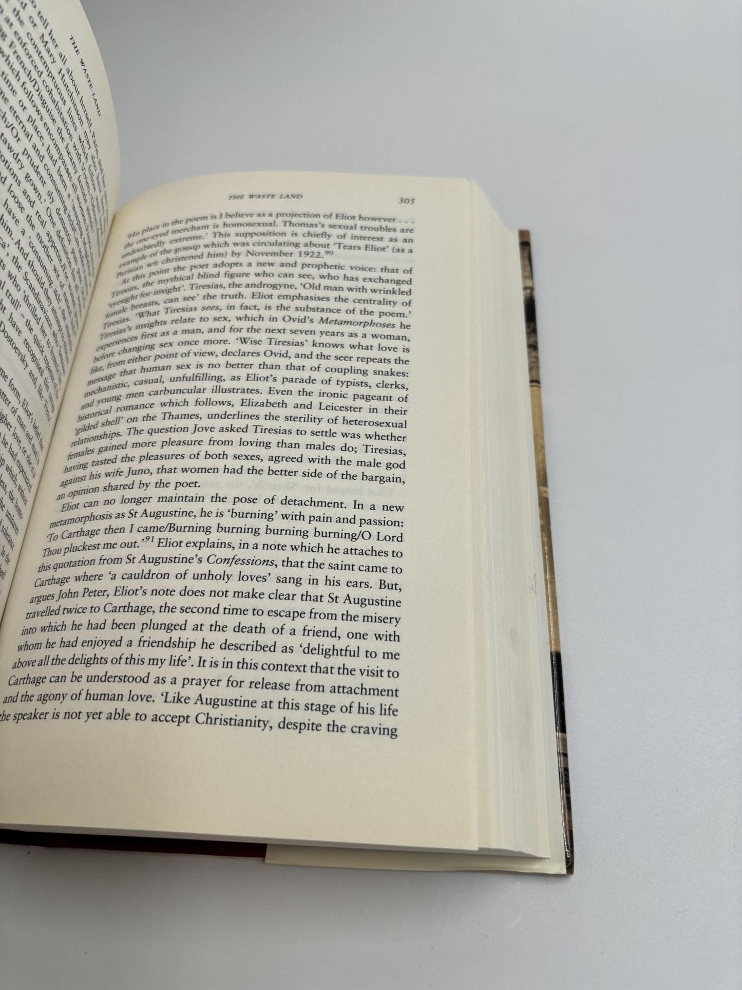 Painted Shadow: A Life of Vivienne Eliot