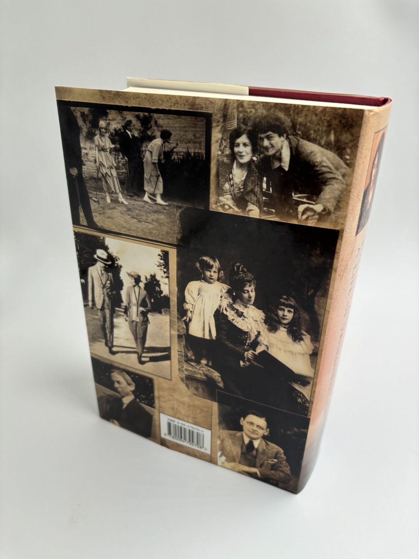 Painted Shadow: A Life of Vivienne Eliot