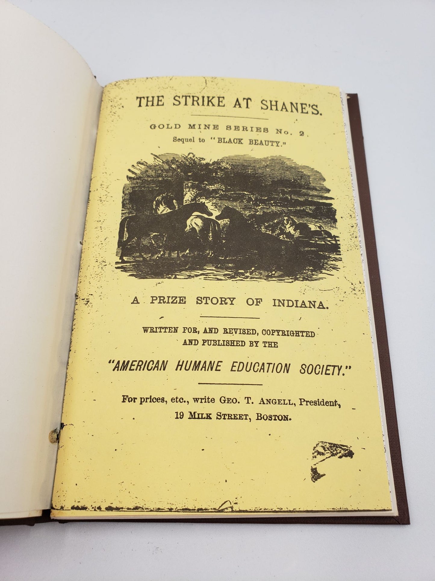 The Strike At Shane's: A Prize Story Of Indiana