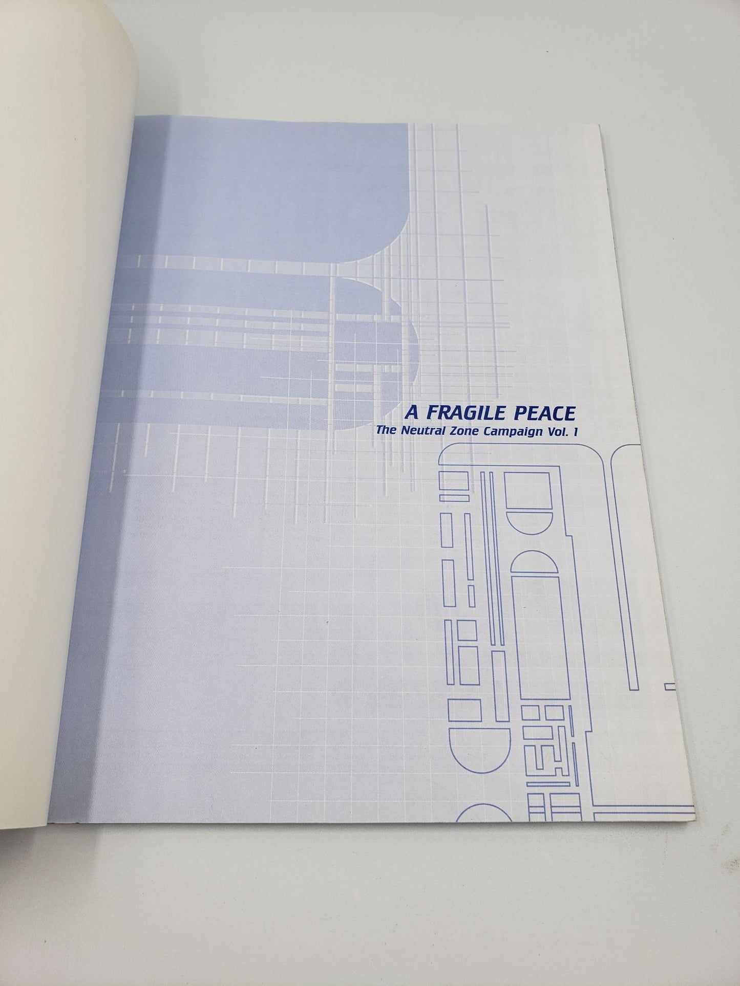 Star Trek The Next Generation, A Fragile Peace: The Neutral Zone Campaign (Volume 1)