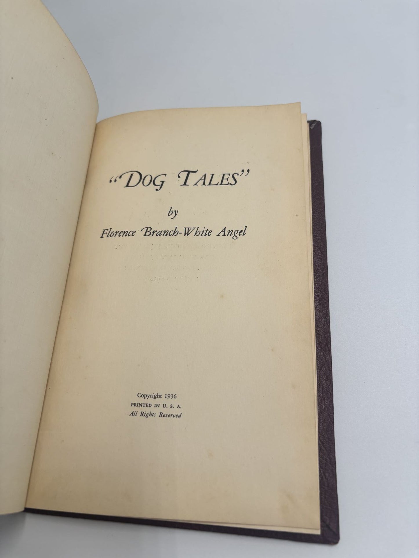 Dog Tales