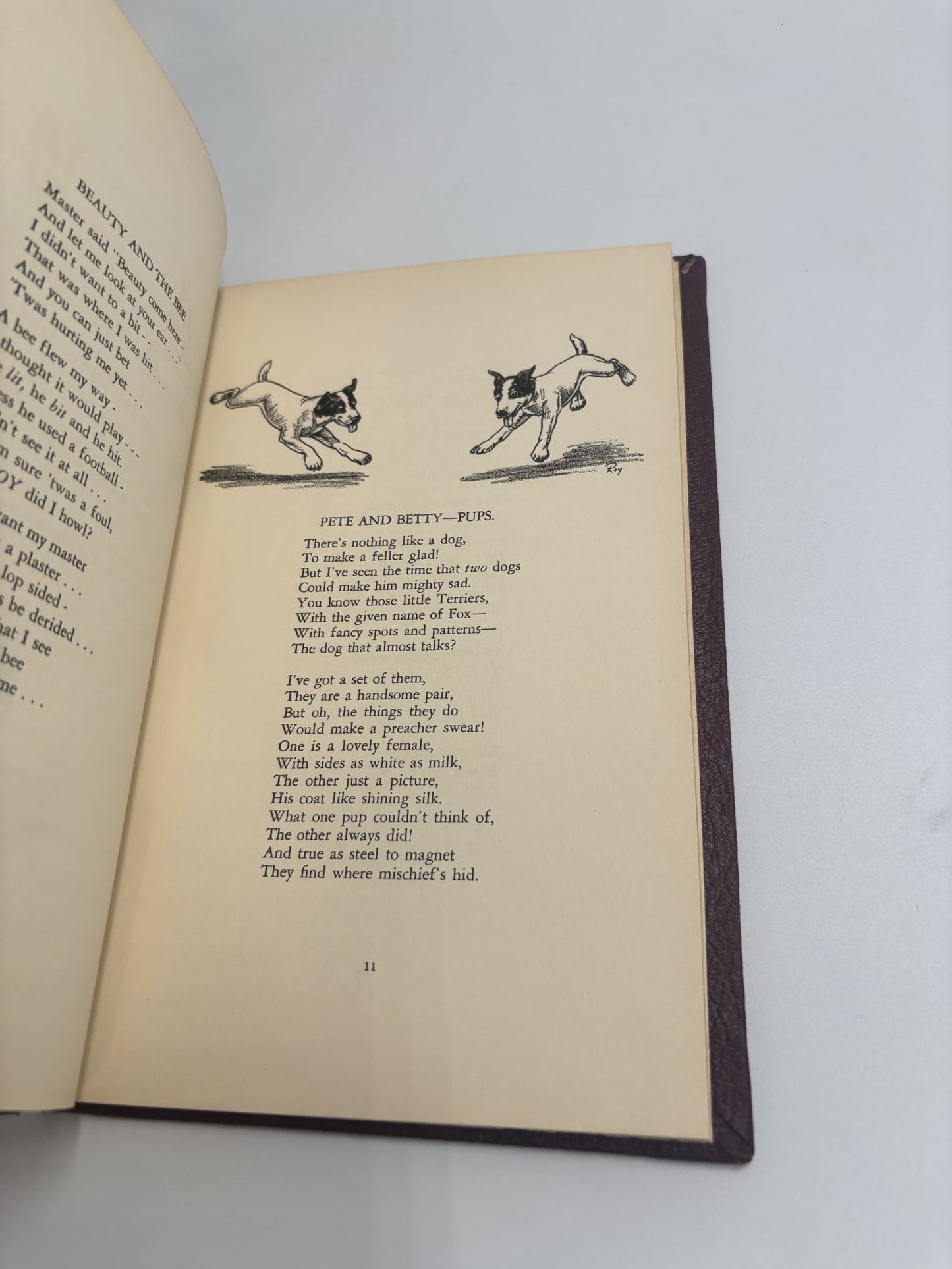 Dog Tales