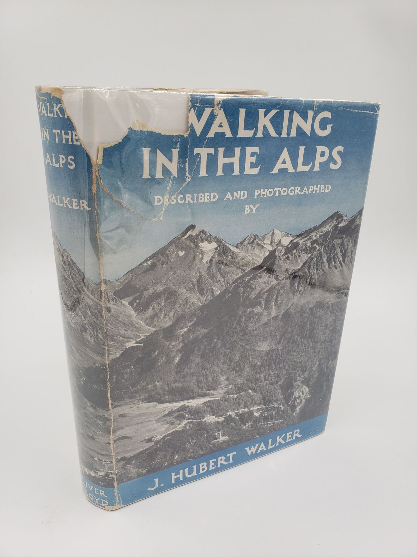 Walking In The Alps