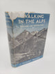 Walking In The Alps