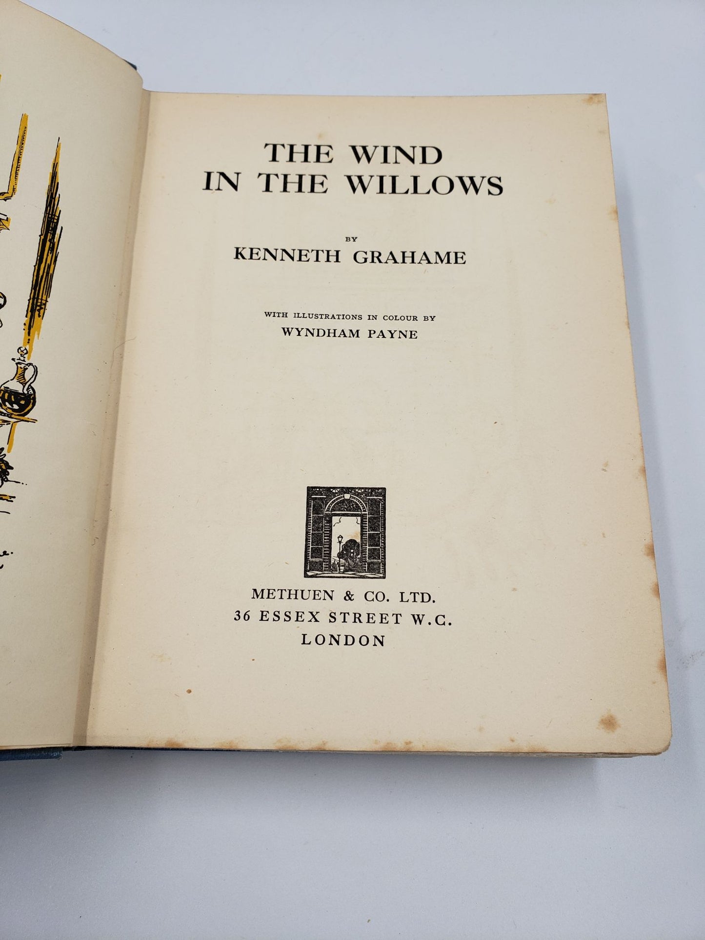 The Wind In The Willows
