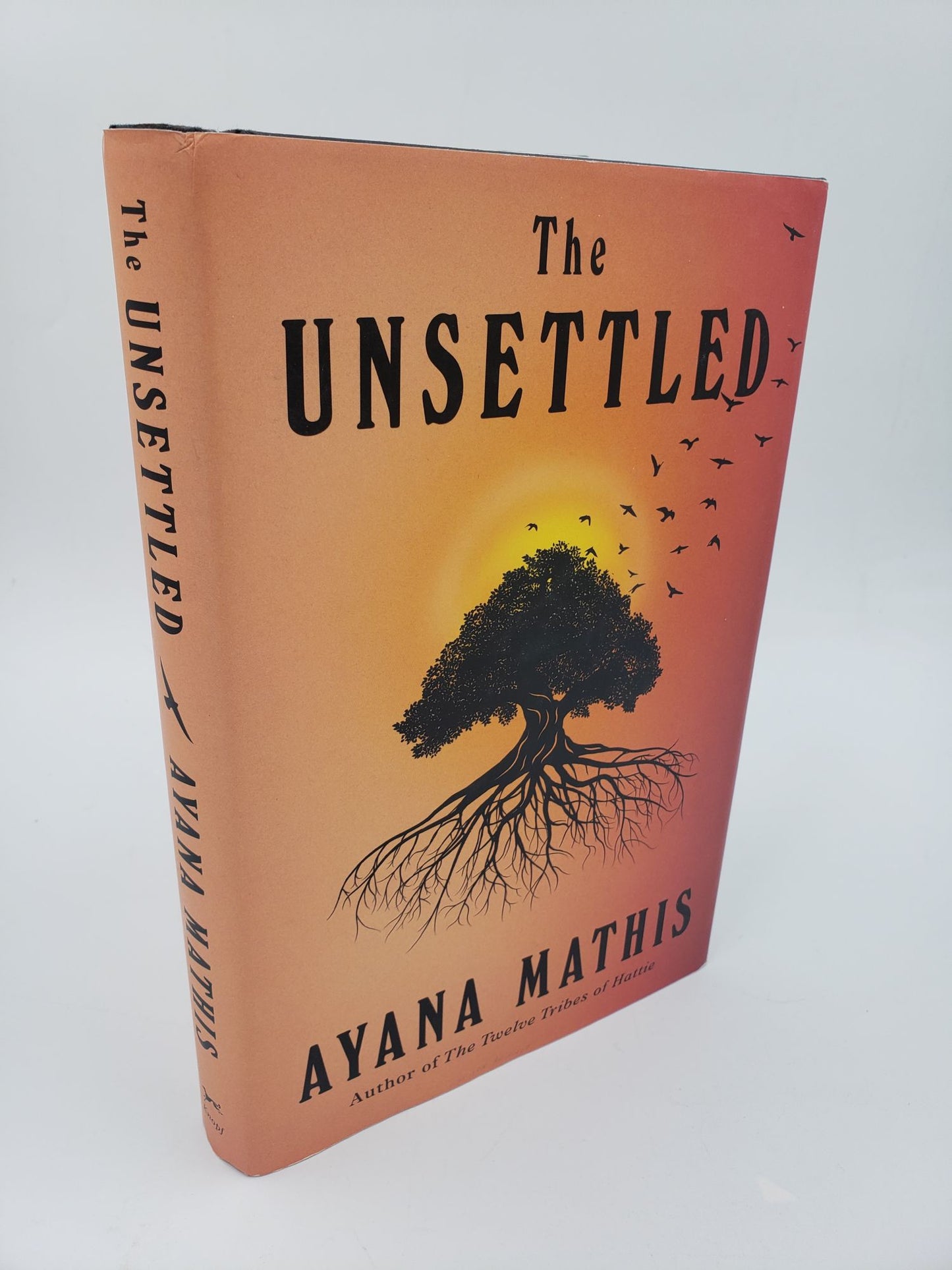 The Unsettled