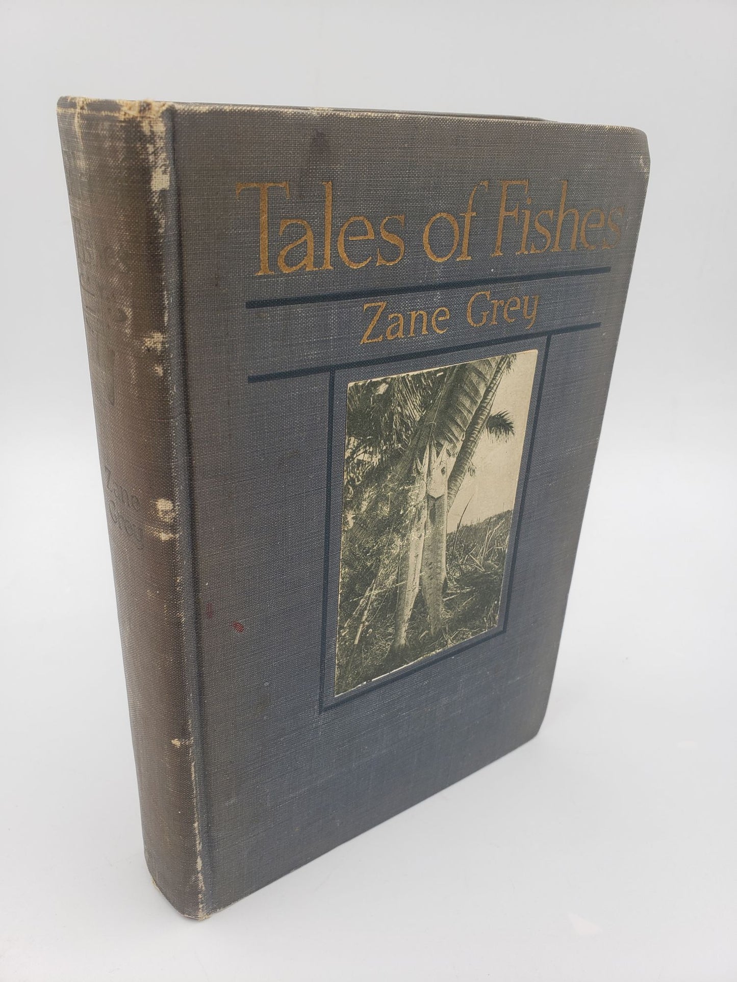 Tales of Fishes