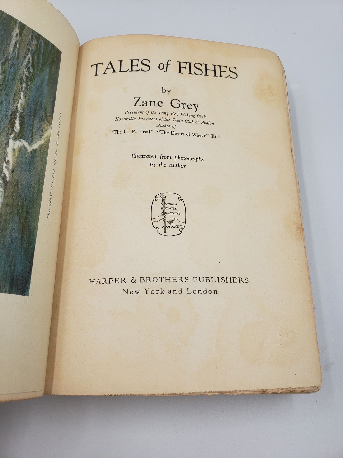 Tales of Fishes