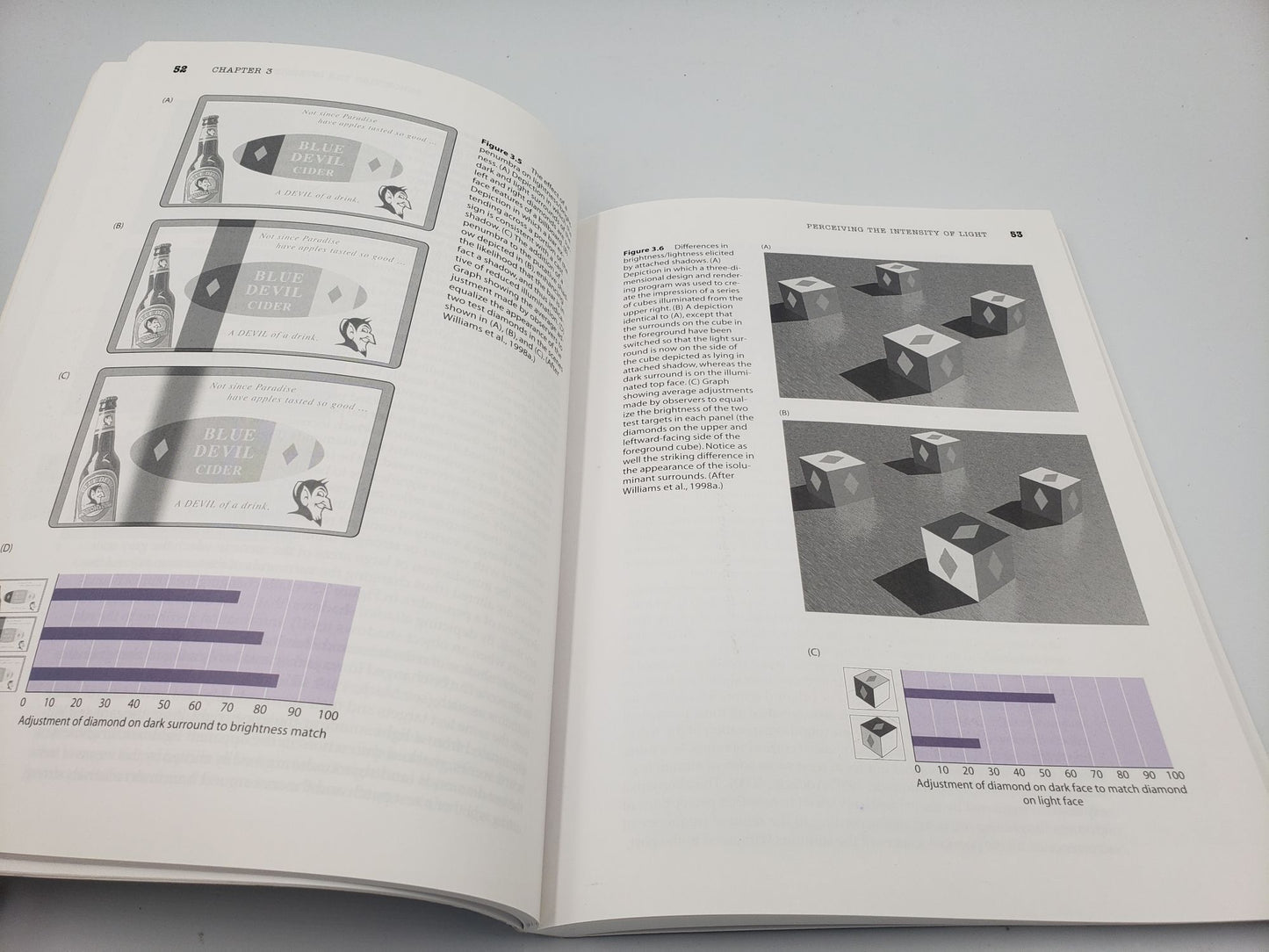 Why We See What We Do: An Empirical Theory of Vision