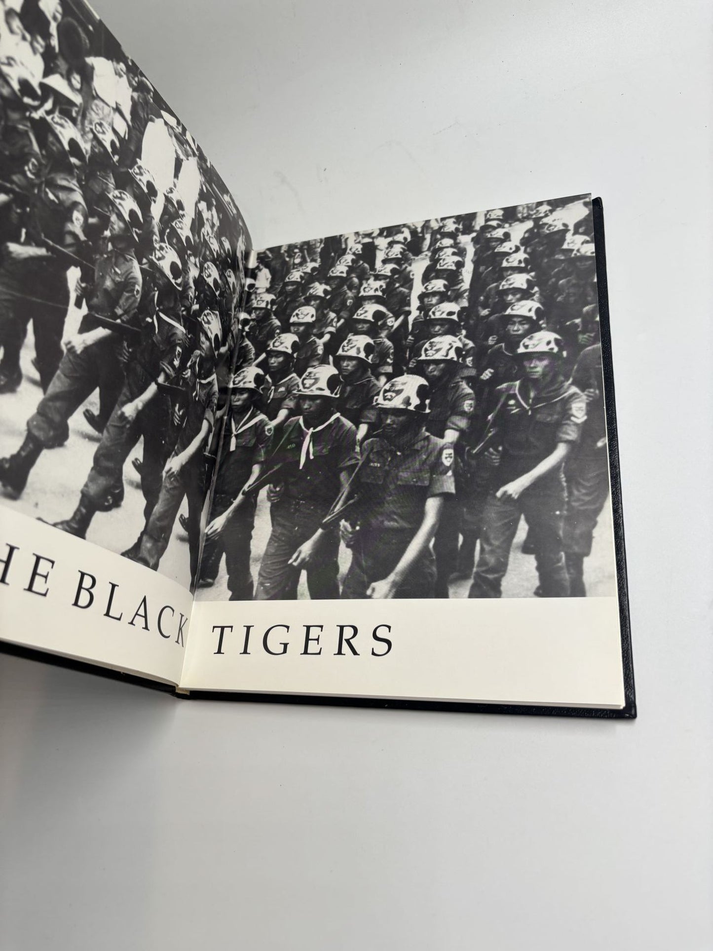 The Black Tigers: Elite Vietnamese Rangers and Their American Advisors