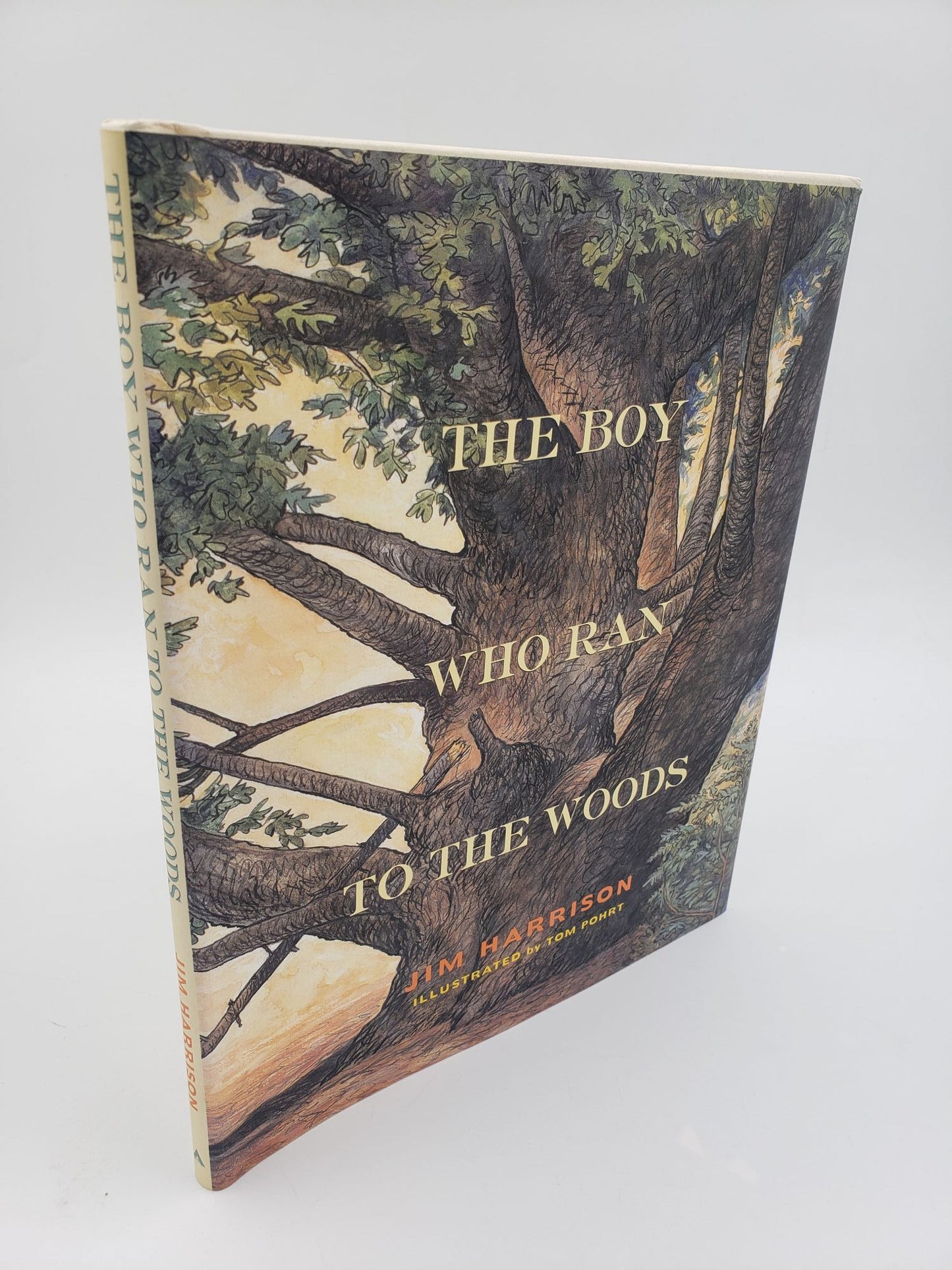 The Boy Who Ran To The Woods
