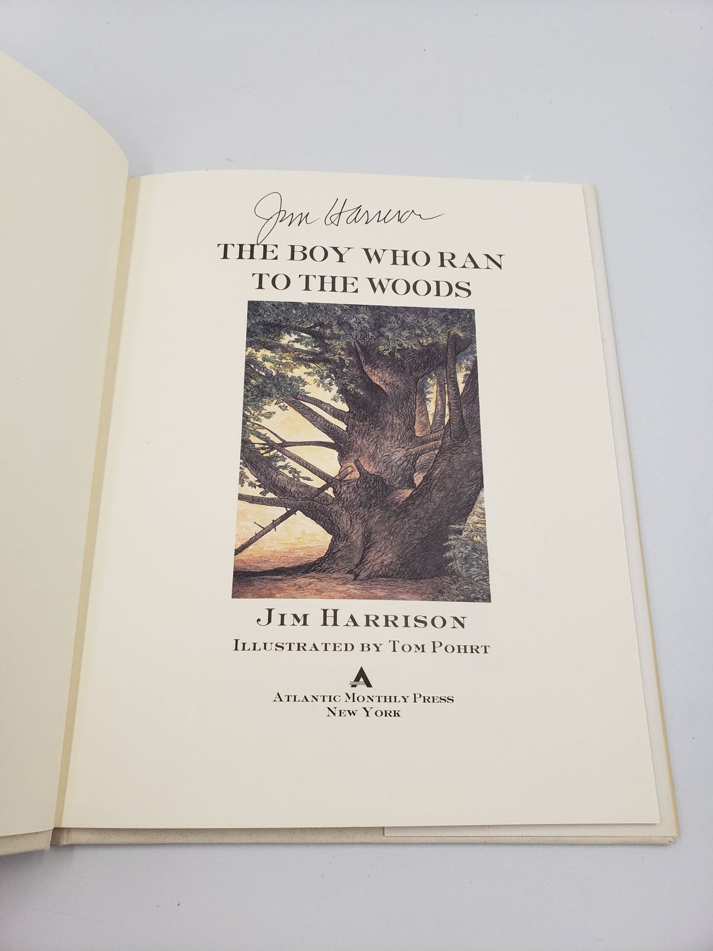 The Boy Who Ran To The Woods