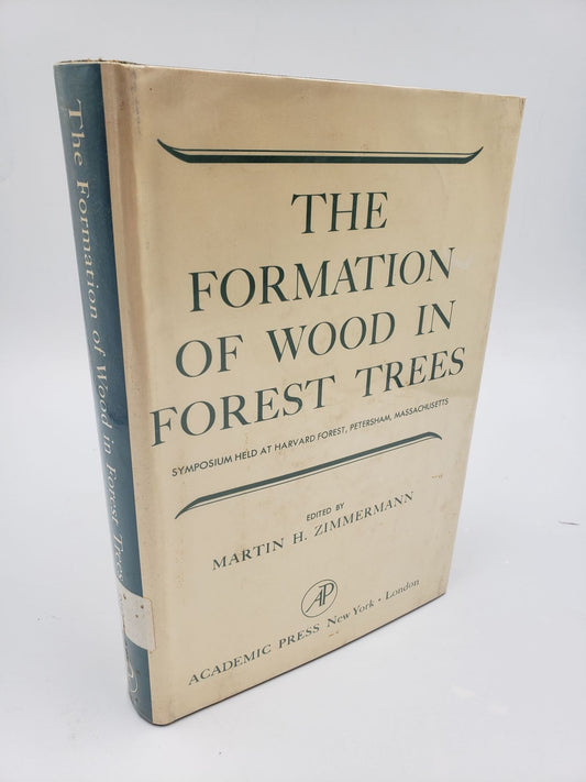 The Formation Of Wood In Forest Trees